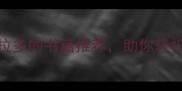 新手必看5本科学训练拉布拉多的书籍推荐助你轻松应对拆家吠叫等常见问题