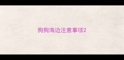 狗狗海边注意事项