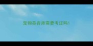 宠物美容师需要考证吗