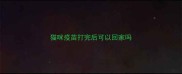 猫咪疫苗打完后可以回家吗