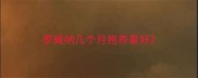 罗威纳几个月抱养最好