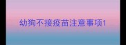 幼狗不接疫苗注意事项
