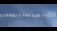 哈士奇多大能吃干狗粮科学喂养全攻略附幼犬期营养方案
