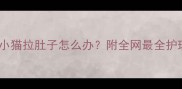 半个月小猫拉肚子怎么办附全网最全护理指南