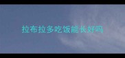 拉布拉多吃饭能长好吗