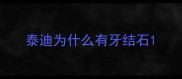泰迪为什么有牙结石