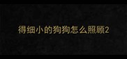 得细小的狗狗怎么照顾