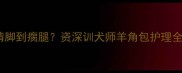 边牧啃脚到瘸腿资深训犬师羊角包护理全攻略
