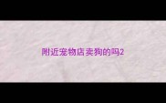 附近宠物店卖狗的吗
