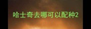哈士奇去哪可以配种