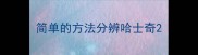 简单的方法分辨哈士奇