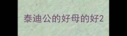 泰迪公的好母的好