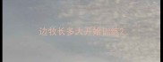 边牧长多大开始训练