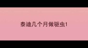 泰迪几个月做驱虫
