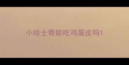 小哈士奇能吃鸡蛋皮吗