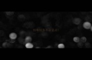 拉布拉多不会定点