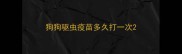 狗狗驱虫疫苗多久打一次