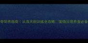 最新哈士奇饲养指南从选犬到训练全攻略宠物日常养宠必备哈士奇品种