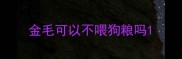 金毛可以不喂狗粮吗