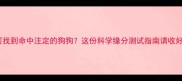 如何找到命中注定的狗狗这份科学缘分测试指南请收好