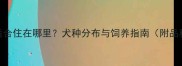 哈士奇适合住在哪里犬种分布与饲养指南附品种对比