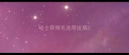 哈士奇掉毛连带皮屑