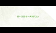 四个月边牧一天喂几次