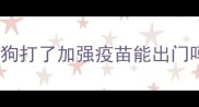 狗狗打了加强疫苗能出门吗