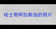 哈士奇阿拉斯加的照片