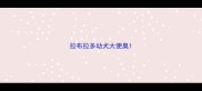 拉布拉多幼犬大便臭