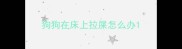 狗狗在床上拉屎怎么办