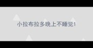 小拉布拉多晚上不睡觉