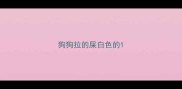 狗狗拉的屎白色的