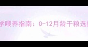小体泰迪幼犬科学喂养指南0-12月龄干粮选择与营养搭配全