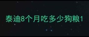 泰迪8个月吃多少狗粮