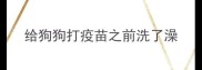 给狗狗打疫苗之前洗了澡
