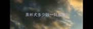 茶杯犬多少钱一只泰迪