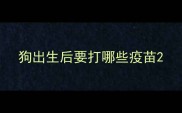 狗出生后要打哪些疫苗