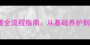 边境牧羊犬室内外过渡全流程指南从基础养护到户外训练的完整方案