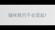 猫咪尾巴不会竖起