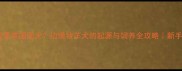 边牧是英国国犬边境牧羊犬的起源与饲养全攻略新手必看
