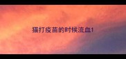 猫打疫苗的时候流血