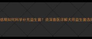 哈士奇肠胃敏感期如何科学补充益生菌资深兽医详解犬用益生菌选择与喂食指南