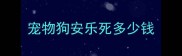 宠物狗安乐死多少钱