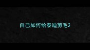 自己如何给泰迪剪毛
