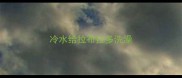 冷水给拉布拉多洗澡