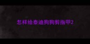 怎样给泰迪狗狗剪指甲