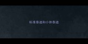 标准泰迪和小体泰迪