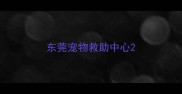 东莞宠物救助中心