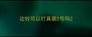 边牧可以打真菌2号吗